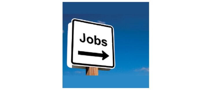 Freelance Purser wanted for dual season charter MY